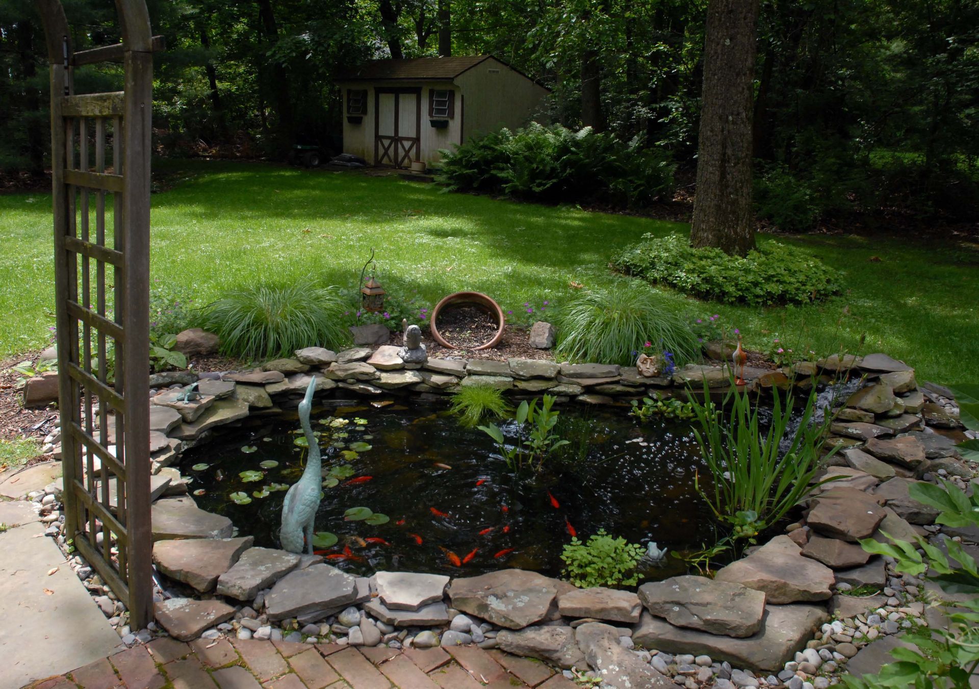 backyard fish pond